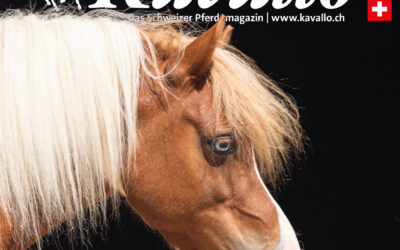 Magazinartikel: «Fundierte Pferdeausbildung braucht ihre Zeit»